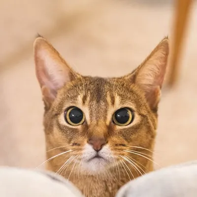 Patrick & Norma profile