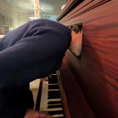 Patrick Watson profile