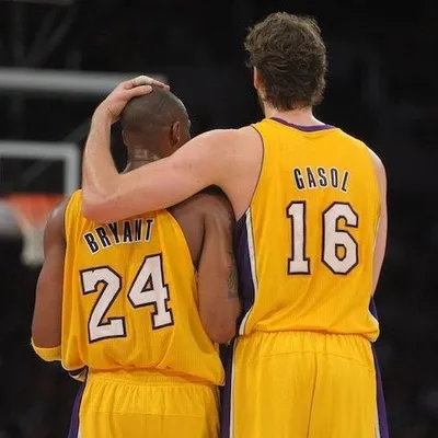 Pau profile