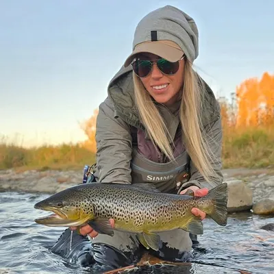 Paula Shearer profile