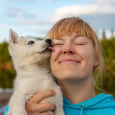 HAPPY HUSKIES® 🐾 profile