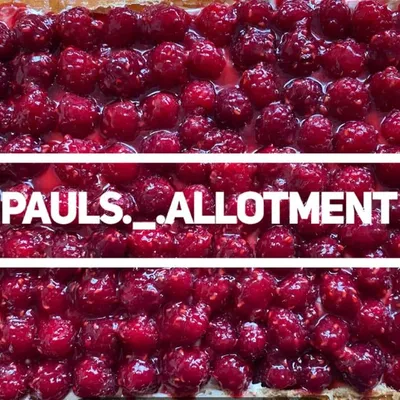 Paul Austin profile