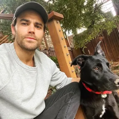 Paul Wesley profile
