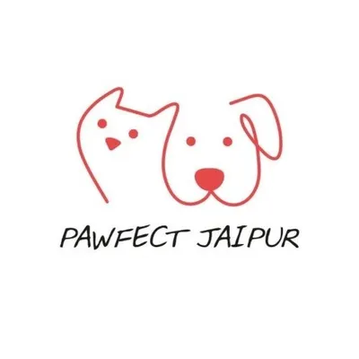 Pawfect Jaipur, Pet Bakey | Pet cakes , Dog Cake in Jaipur profile