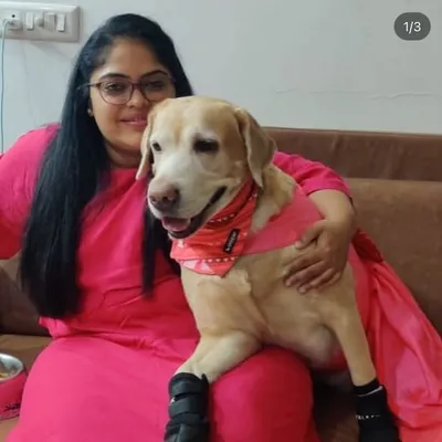 Rj Payal vyas profile