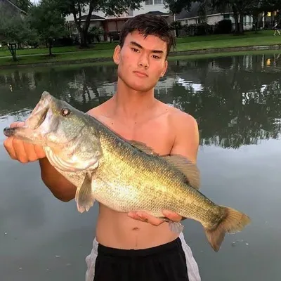 Preston Bozeman profile