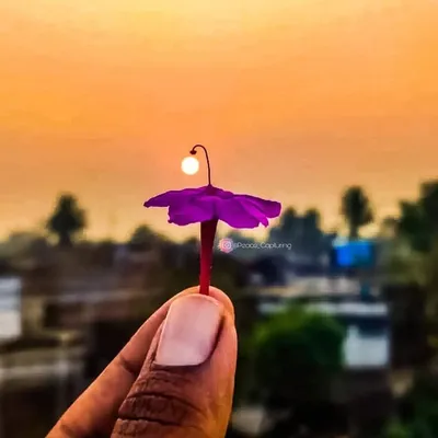 PEACE📱📸😍CAPTURING profile