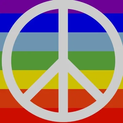 Peace Love & Plastic Surgery profile