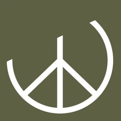 Peace Vans | Seattle, WA profile