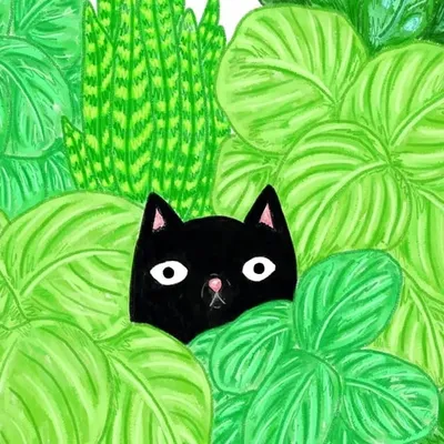 Peachy Cat Studio profile