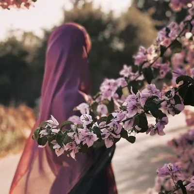 لا اِلهَ اِلَّا اللهُ profile