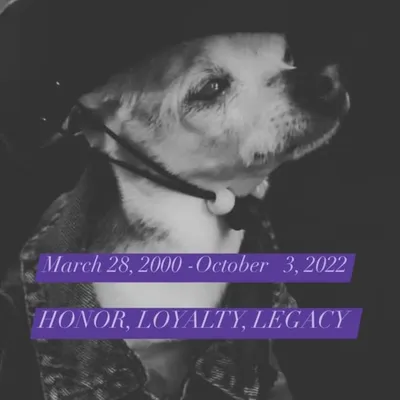 REMEMBERING PEBBLES profile