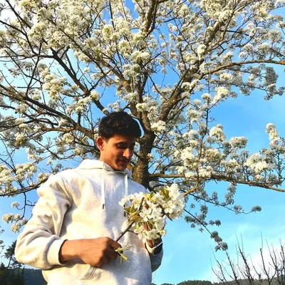 Danish_Bashir_18 profile