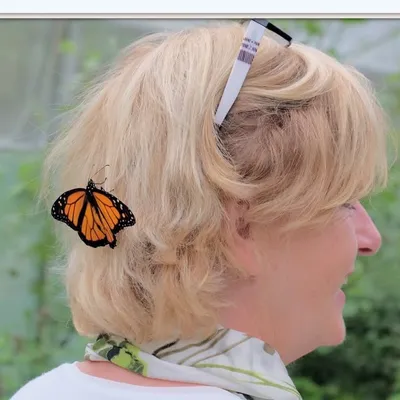 Toos Peerlings profile