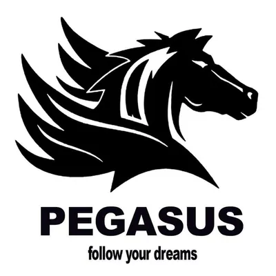 PEGASUS SPORTS profile