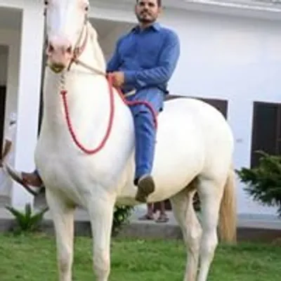 Pehalwan profile