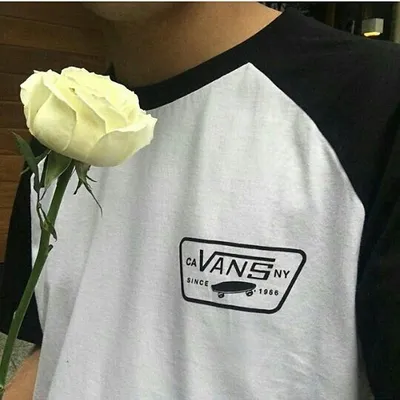 Tumblr Files profile