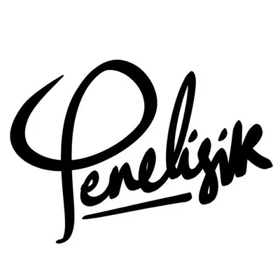 Penelisik Danilla profile