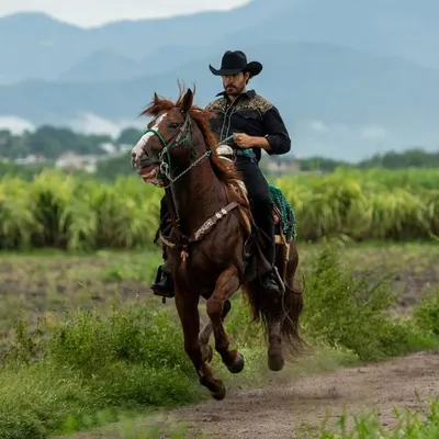 BRANDON PENICHE profile