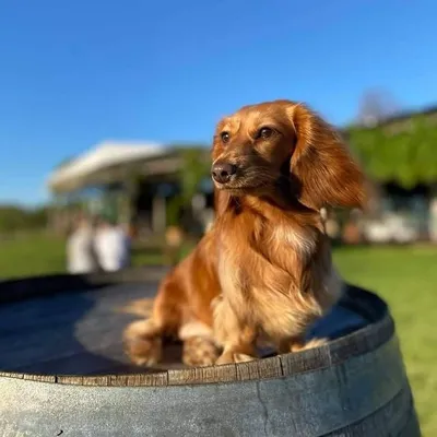 Penny & Paddy ๐ profile