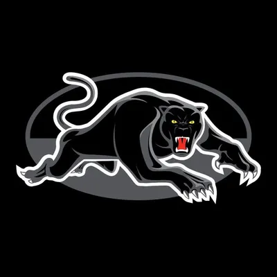 Penrith Panthers profile