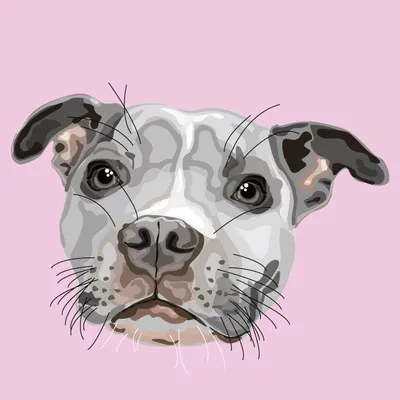 🎀 PEPPER 🎀 profile