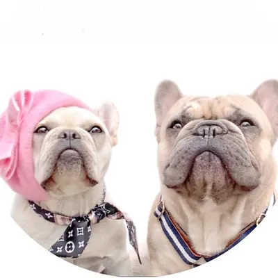 PEPSI ๐ & MAXINE ๐ profile