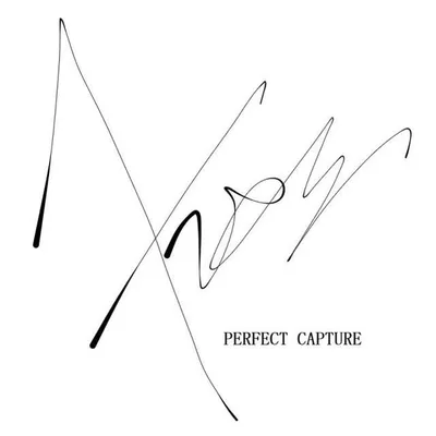 Perfect Capture profile