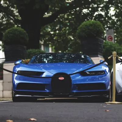 🔶BEST OF LUXURY CARS🔶 profile