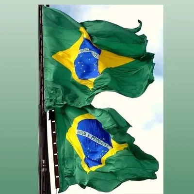 BRASIL ๐ง๐ท profile