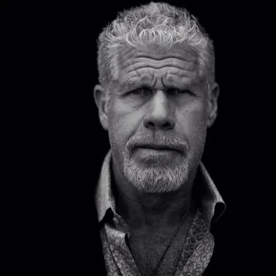 Ron Perlman profile