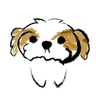 ぺろ🐾シーズー profile