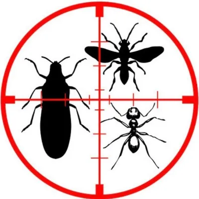 Pest MD Mike profile