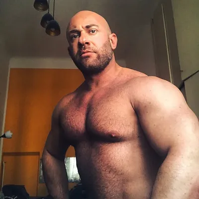 Petar profile
