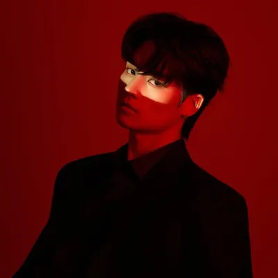 다이아몬 펫 profile