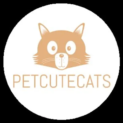 Cats | Kittens | Pets profile