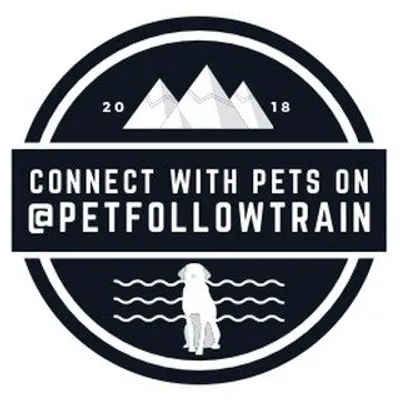Pet Follow Train profile