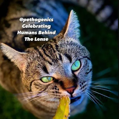 Pethogenics Features profile