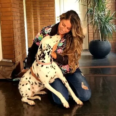 Dra. Claudia Hevia 🇨🇱Medicina Interna🐶🐱 profile
