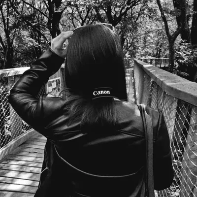 profile