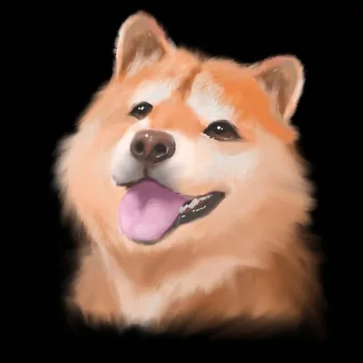 Pets Adventure profile