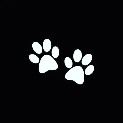 Pets Areanaš¶ profile