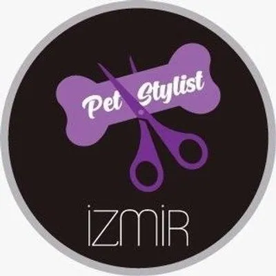 Mehmet Gunes profile
