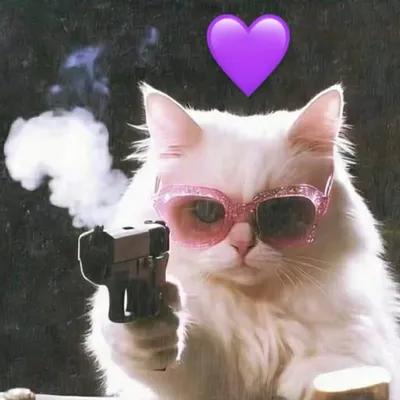 👈ชู่ว แมวน้อยของฉัน ข่าวสารบังทันอัพเดตได้ที่นี่นะ💜 profile