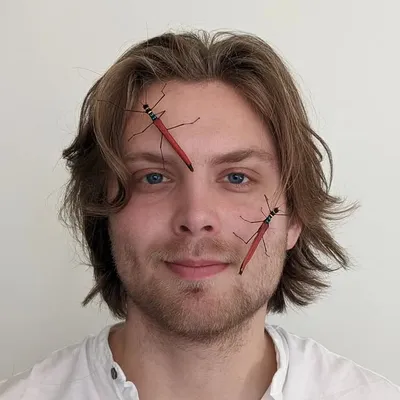 Wietse Chanet / Phasmedia profile
