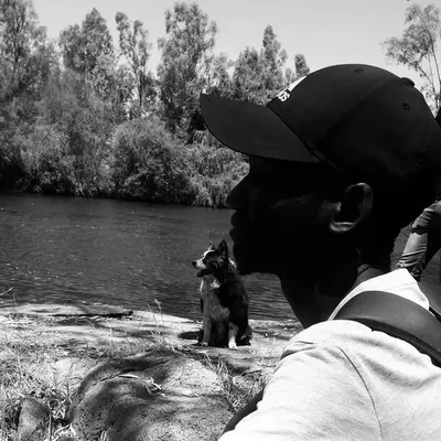 Phenyo profile