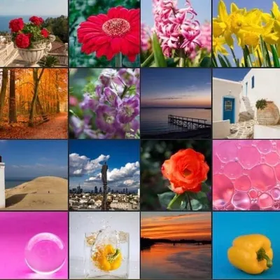 📸 Colors, Travels & Energy! profile