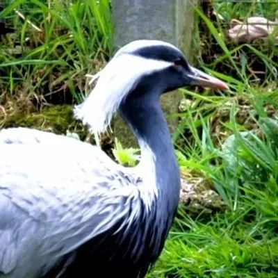 Les plus belles photos nature profile
