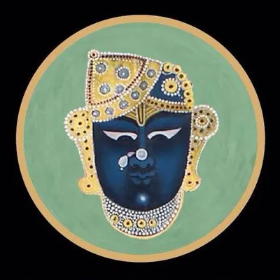 Pichvai Tradition & Beyond profile