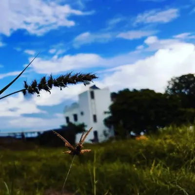 nuture photography ๐ค profile